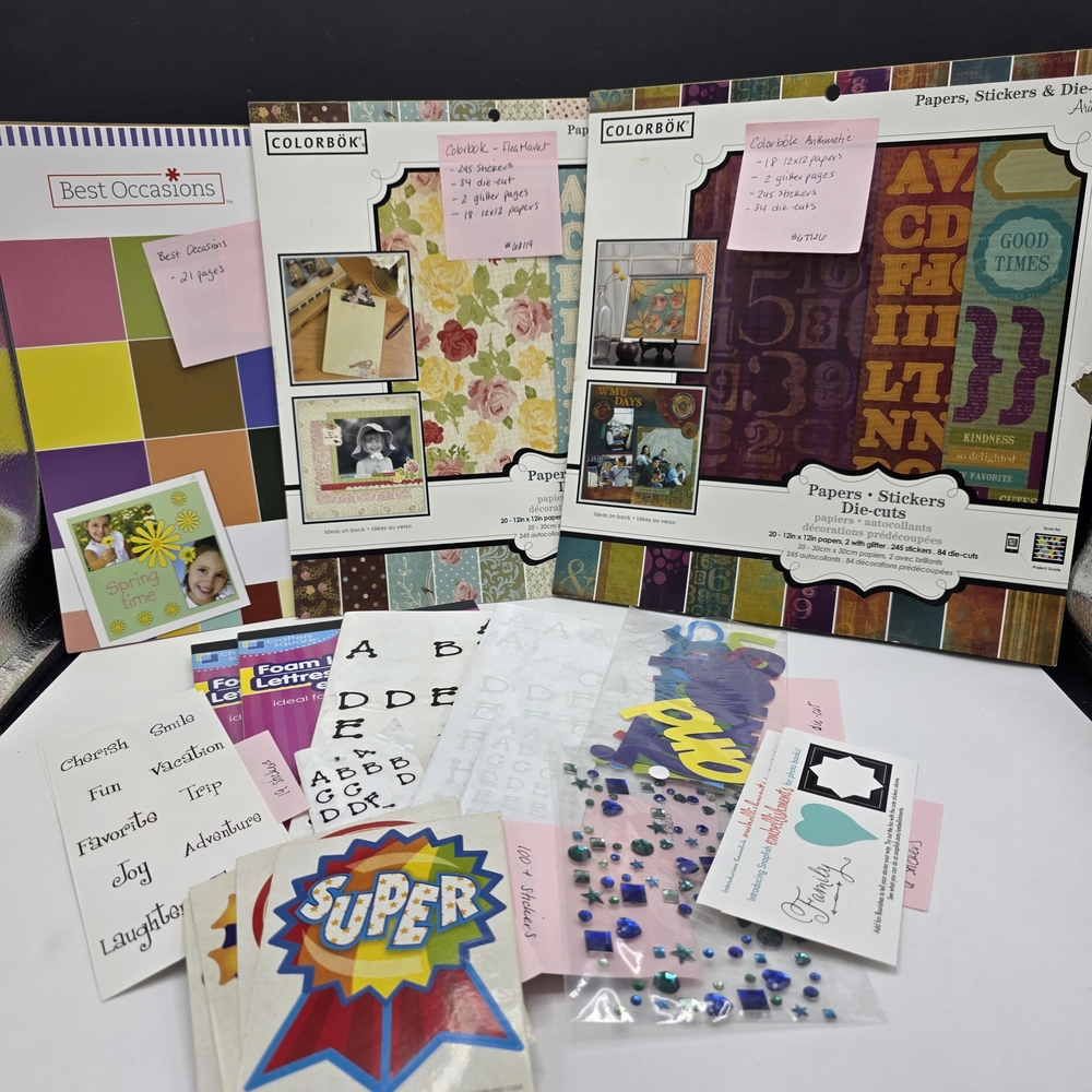 Lot of 14 12x12 Scrapbook Paper Books & Embellishments NOT Complete 2007 Variety